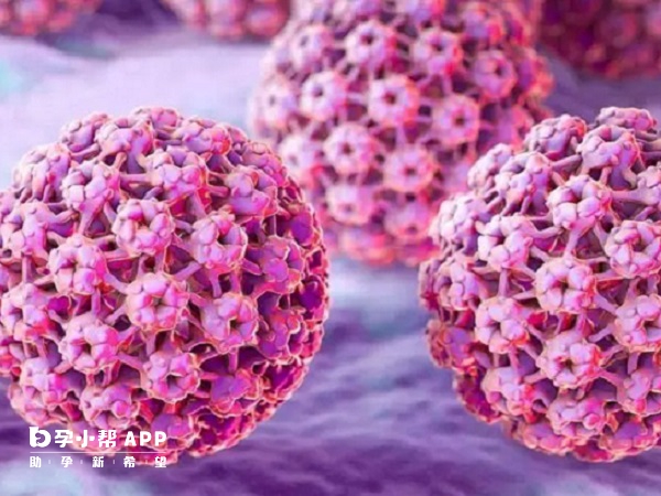 HPV感染可能会干扰卵巢