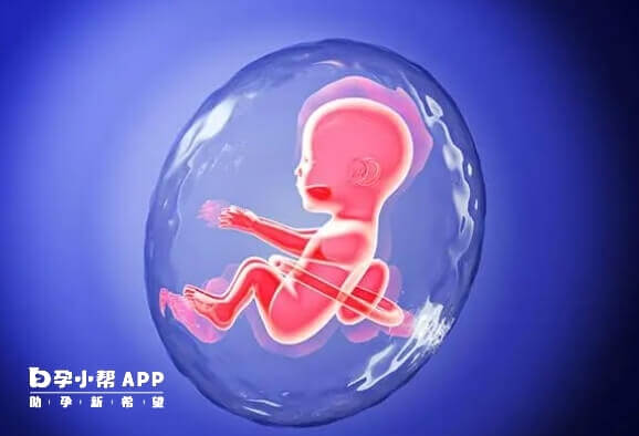 现在试管婴儿提倡移植单胚