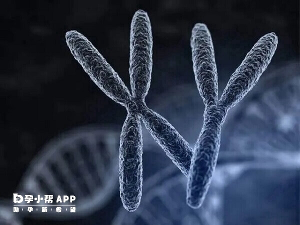三代试管技术可以筛查胚胎性染色体