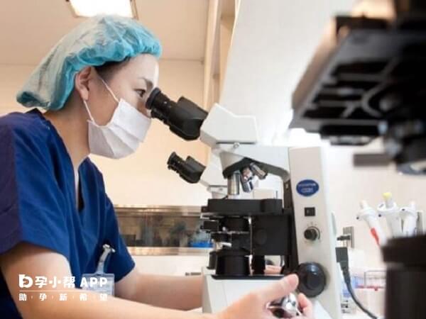 囊胚送检是检查染色体问题