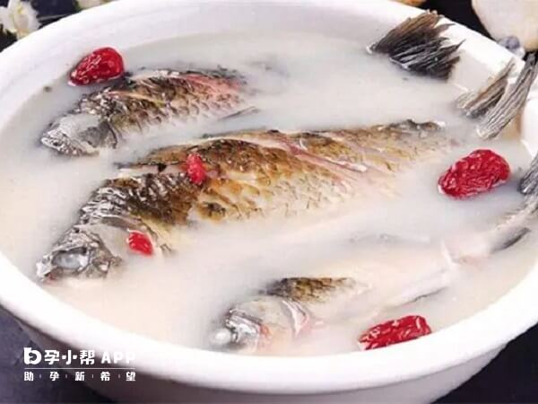 鲫鱼是最传统的月子菜