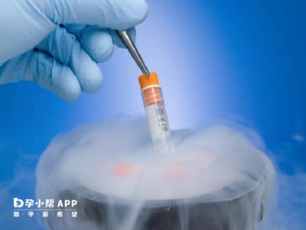 三级胚胎移植成功率约为百分之二十左右
