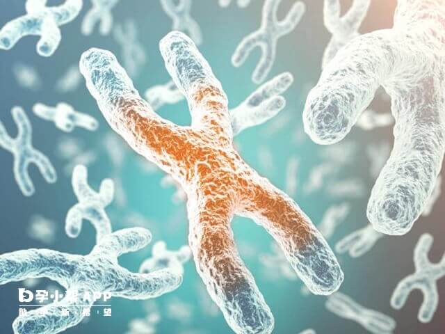性染色体异常大多都能生育