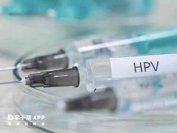 HPV全称为人乳头瘤病毒