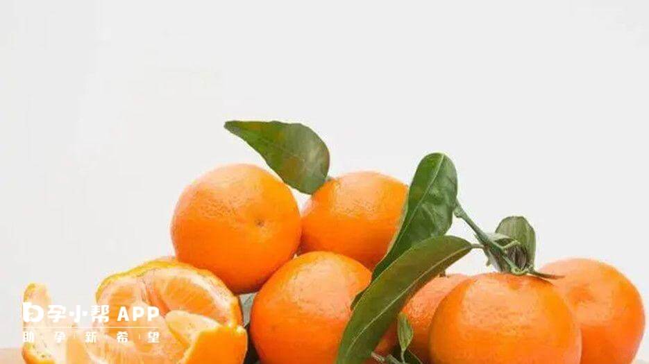 橙子属于芸香科的柑橘类水果