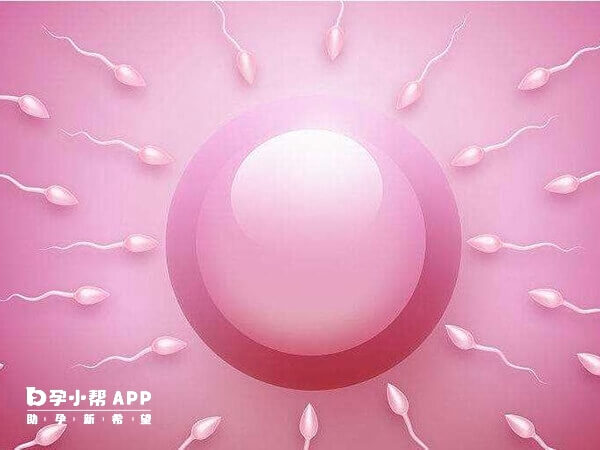 不用麻醉取卵成功率较高