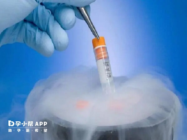 冻胚移植成功率与鲜胚相近