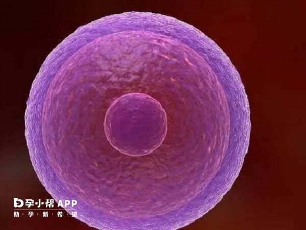卵泡黄素化不破裂卵细胞会形成黄体