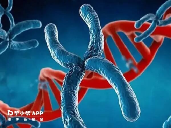 12号染色体与癌症的发生有密切的关联