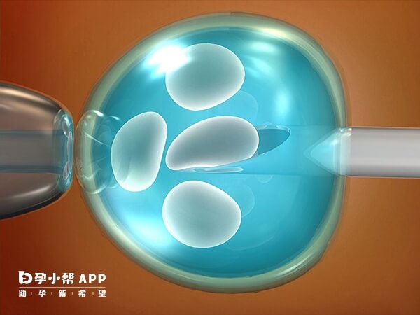 卵巢早衰鲜胚冻胚都可以移植