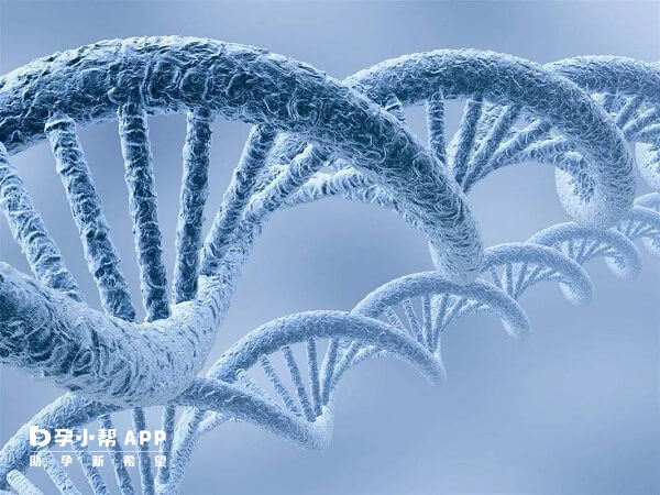 无创DNA基础版能满足大部分人需求
