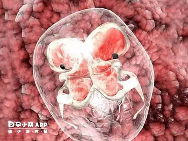 孕37周胎儿已经发育成熟