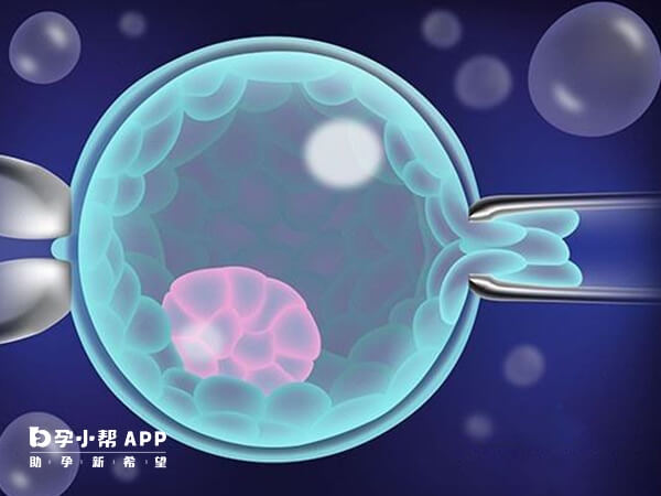 自然周期冻胚移植前子宫内膜厚度很关键