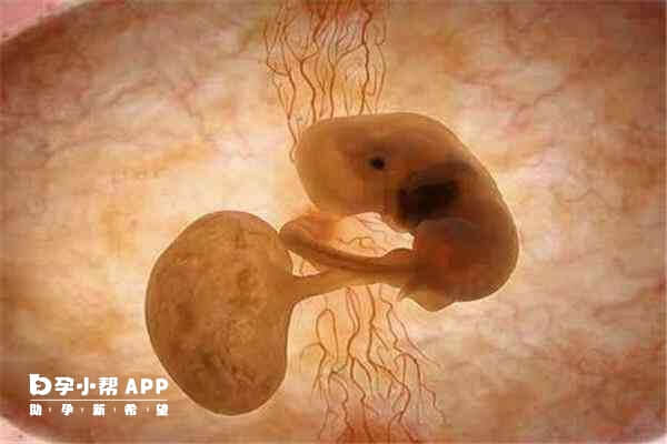 胚胎移植后下面潮湿可能是激素变化所致