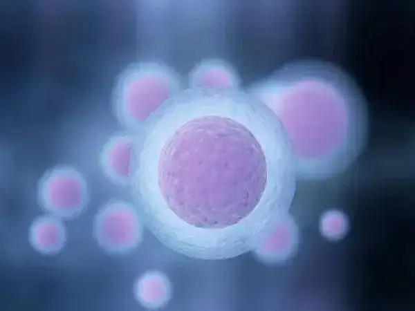 试管促排卵药物能够刺激卵巢产生卵泡