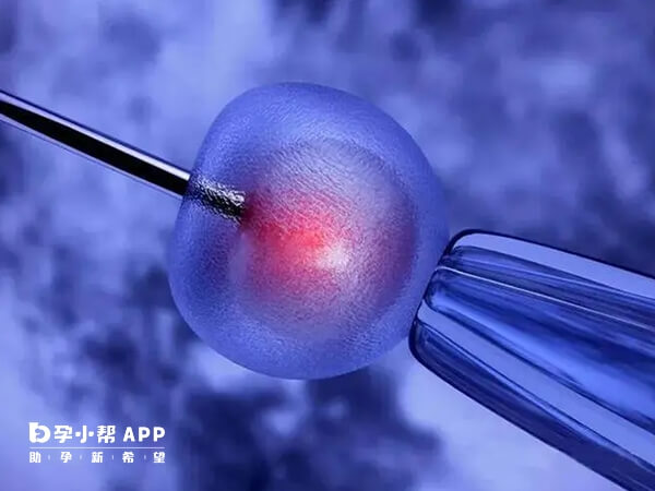 鲜胚移植着床过程分为三个阶段