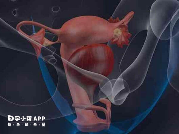 输卵管上举是单纯性的不影响正常受孕