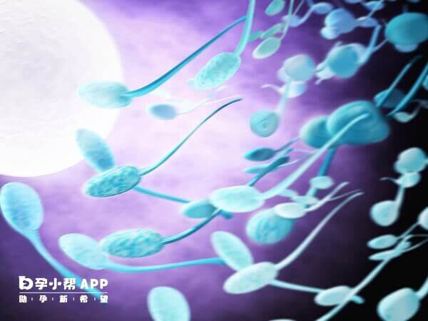 44岁子宫环境可能不适合胚胎着床发育
