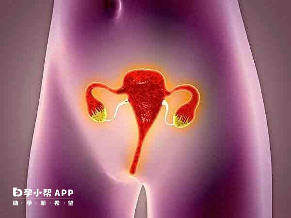 输卵管堵塞可以做疏通手术