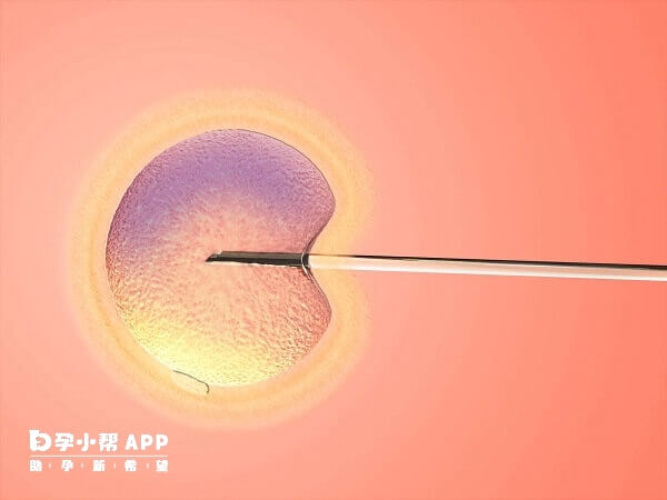 胚胎着床窗口期是最易受孕的时间段