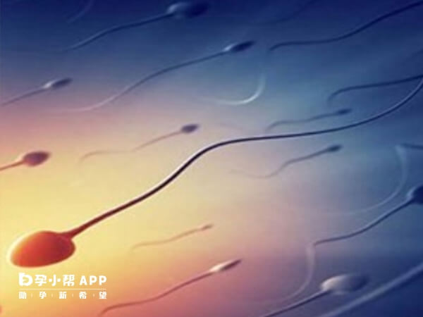 做精液分析能观察到男性的精子活力