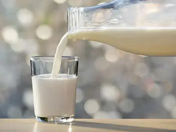 坚持每天喝牛奶能补充身体所需的营养