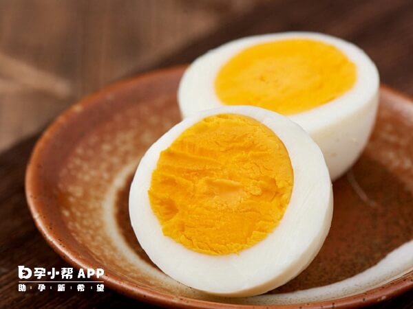 高蛋白食物可以促进卵泡发育