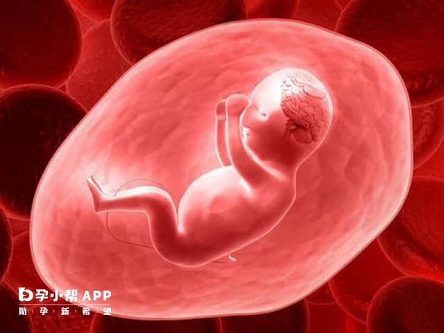 染色体异常会导致胚胎发育缓慢