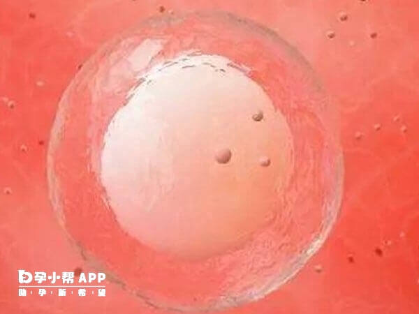 福建省有11家医院可做供卵试管婴儿