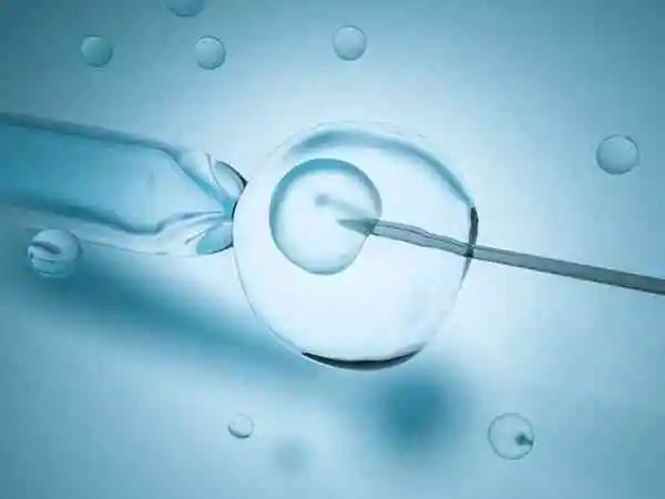 鲜胚移植能减少患者时间成本