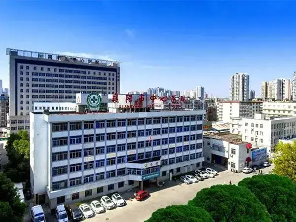 襄阳中心医院鸟瞰图