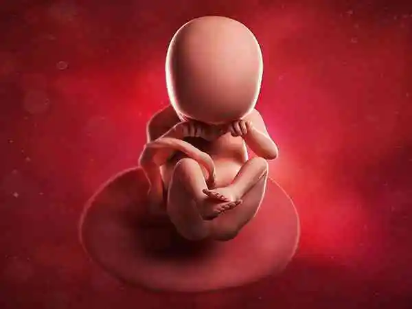 孕妇感染hpv要及时治疗以免影响胎儿
