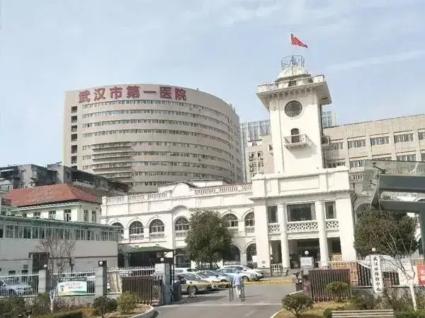 武汉第一医院全面图