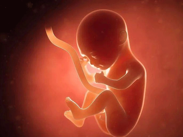 胚胎发育慢可能是女性宫腔环境差
