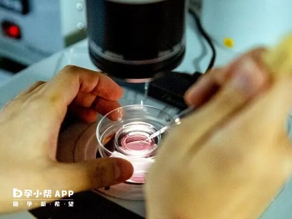做三代试管需要对胚胎进行筛查