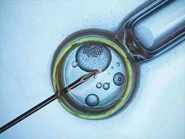 冻胚移植后不要着急验孕