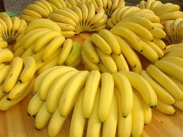 香蕉含有大量叶酸