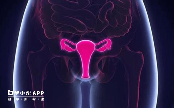 鞍型子宫内膜略呈y型是一种子宫畸形