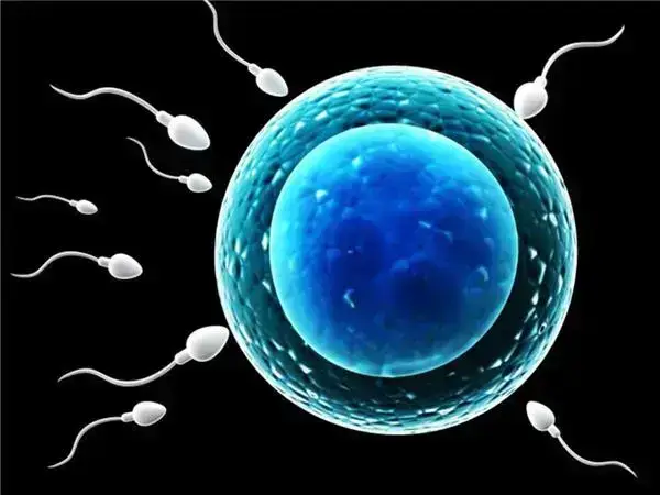 胚胎质量不好可改人工周期
