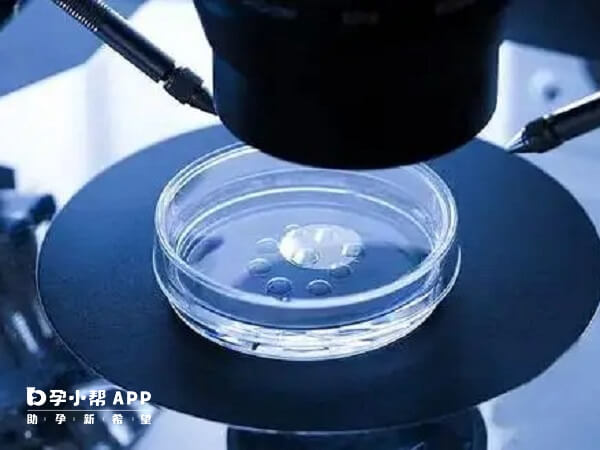 移植1个胚胎能预防多胞胎发生