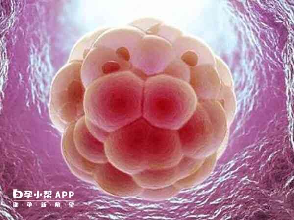 子宫内膜容受性可预测妊娠结局