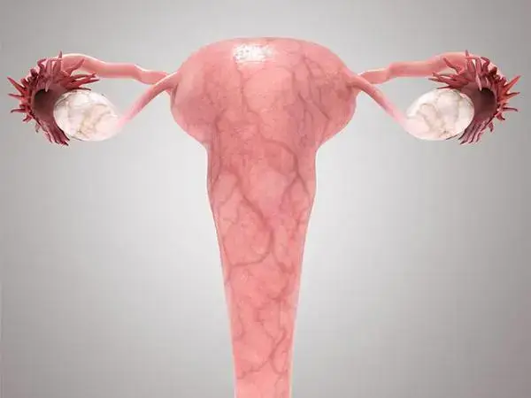子宫腺肌症对胎儿发育可能会有影响
