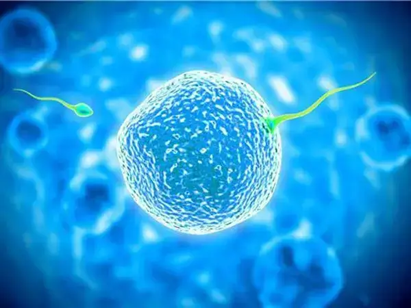 PGD全称为胚胎植入前遗传学诊断