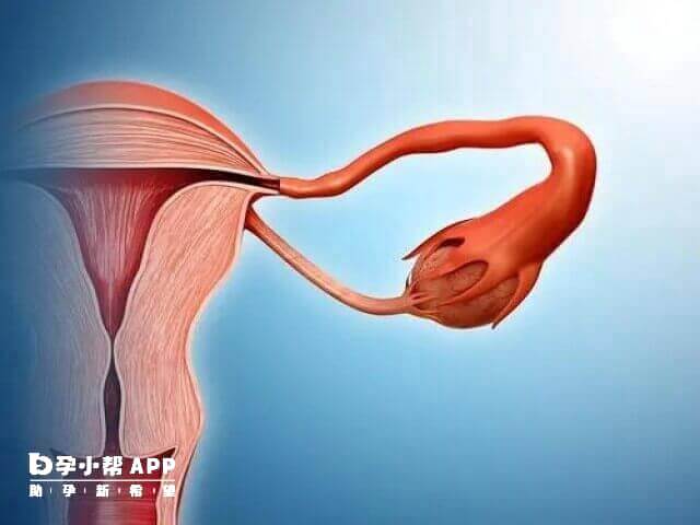 卵巢囊肿小于5cm都不影响试管