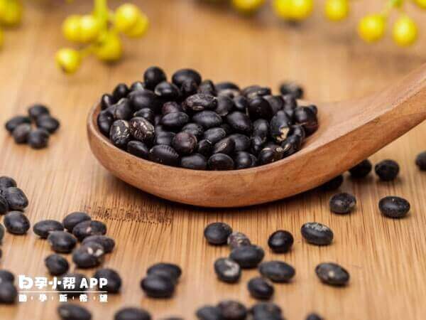 黑豆含丰富优质蛋白
