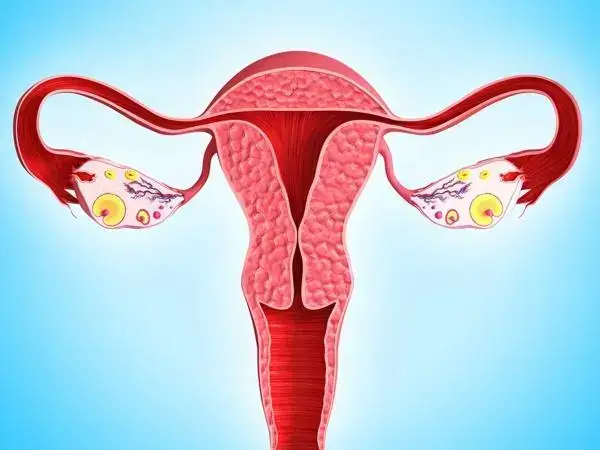 做试管对卵巢可能会有伤害