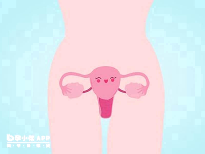 胚胎着床对子宫内膜有要求