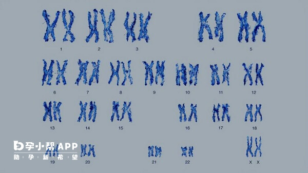 做试管婴儿也会出现染色体异常