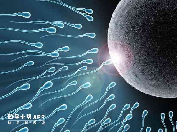 精子畸形率高影响男性生育