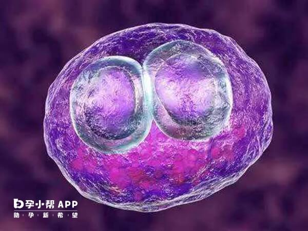 胚胎移植后要注意观察身体变化
